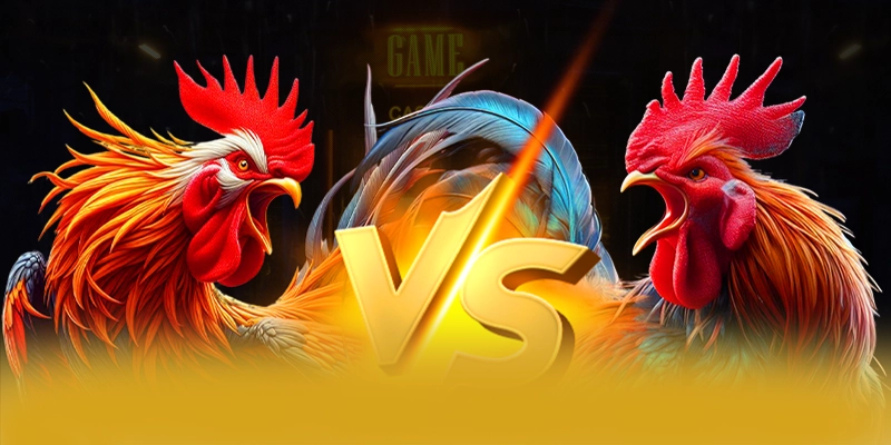 W88 - Cong ca cuoc toi uu tai Viet Nam