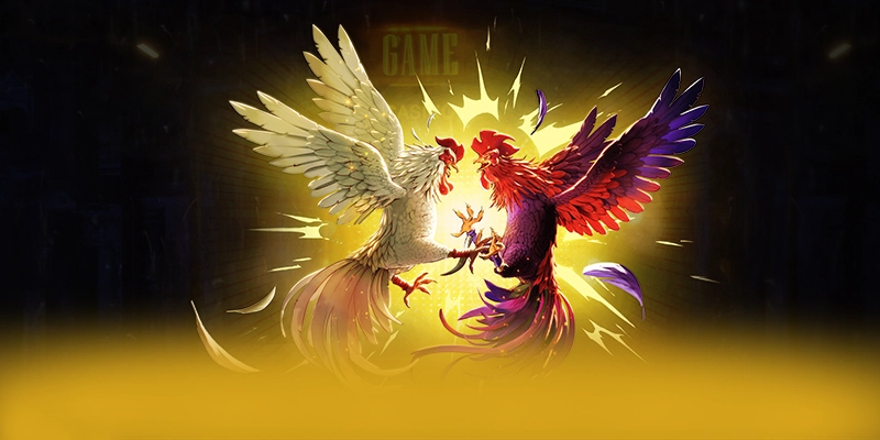 Tìm hiểu BET88 - Sân chơi đẳng cấp trên thị trường