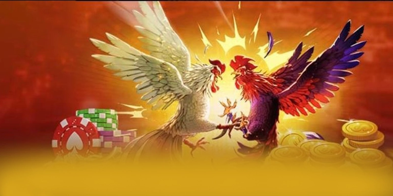 Hệ thống hỗ trợ người chơi tại SUNWIN